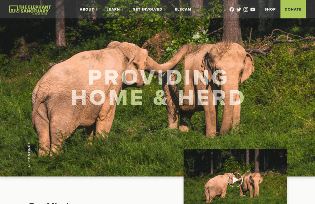 The Elephant Sanctuary homepage, with elephants playing under the title Home and Herd.