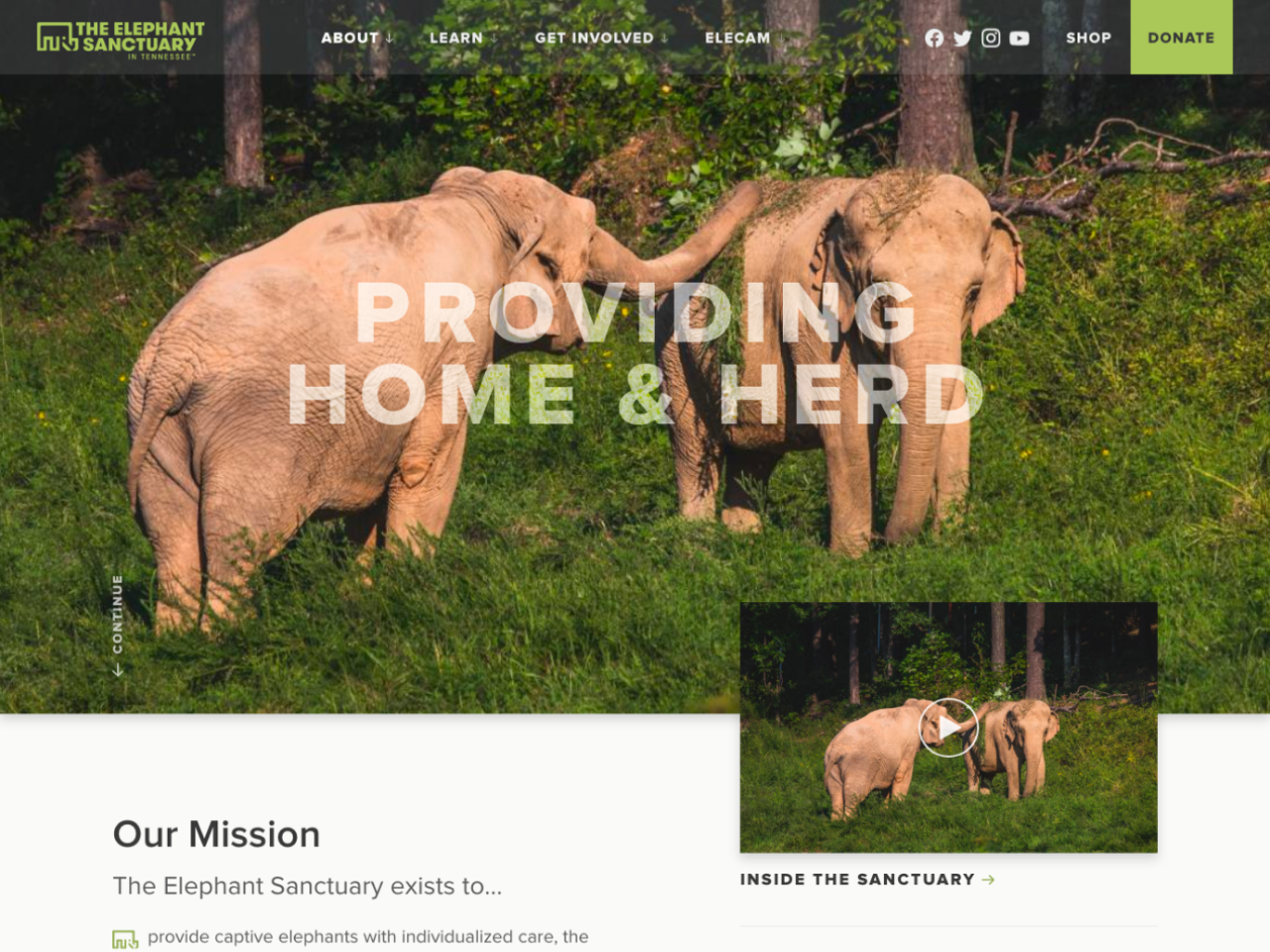 Screenshot of The Elephant Sanctuary in Tennessee's website that features elephants playing with the title Home and Herd.