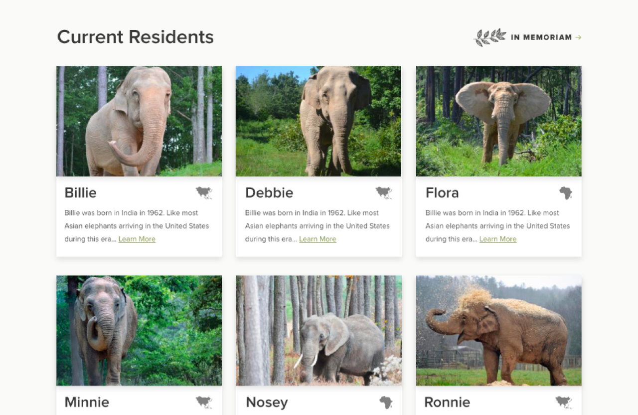 Screenshot of The Elephant Sanctuary in Tennessee's website that shows a list of current elephant residents at the Sanctuary.