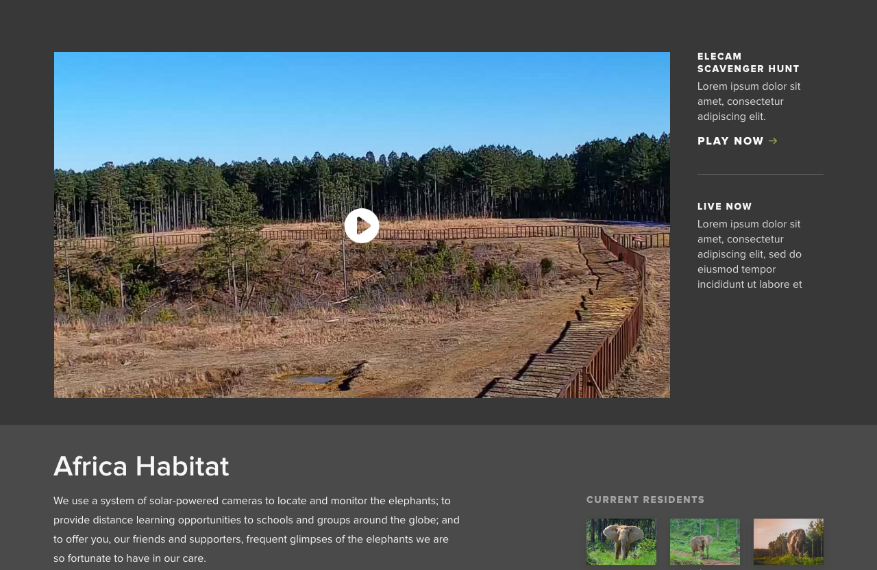 Screenshot of The Elephant Sanctuary in Tennessee's website featuring the Elecam - a live video feature that shows the Elephants in their habitat.